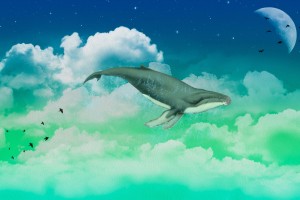 天空中的鲸鱼
