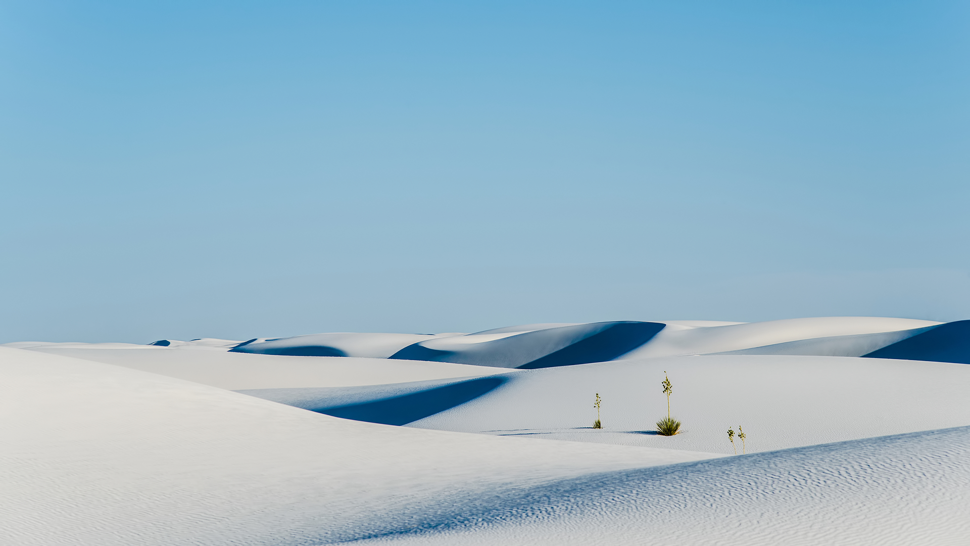雪与沙漠