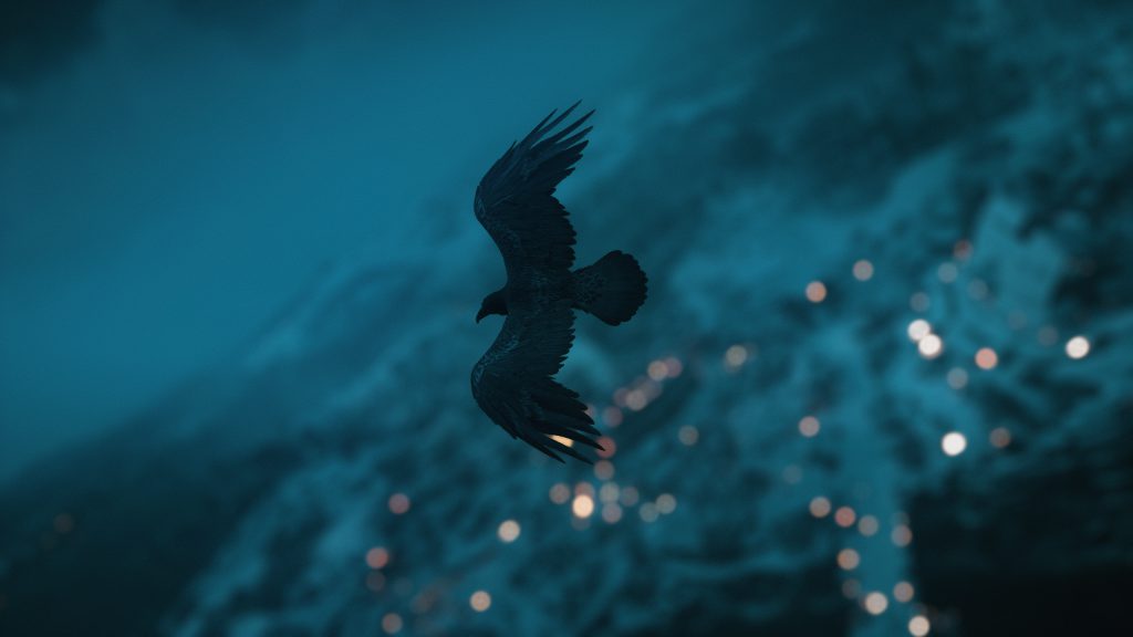 自由翱翔的鹰