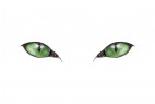 绿色的猫眼