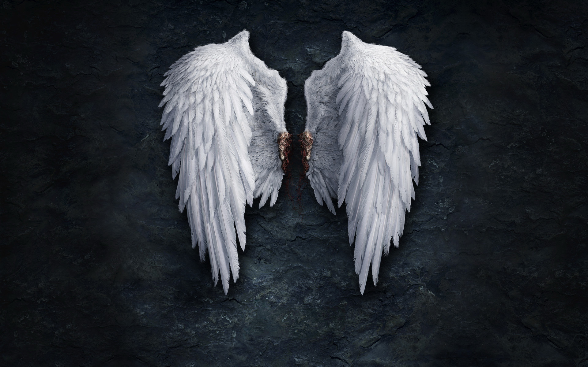 天使《翅膀》高清动漫图片